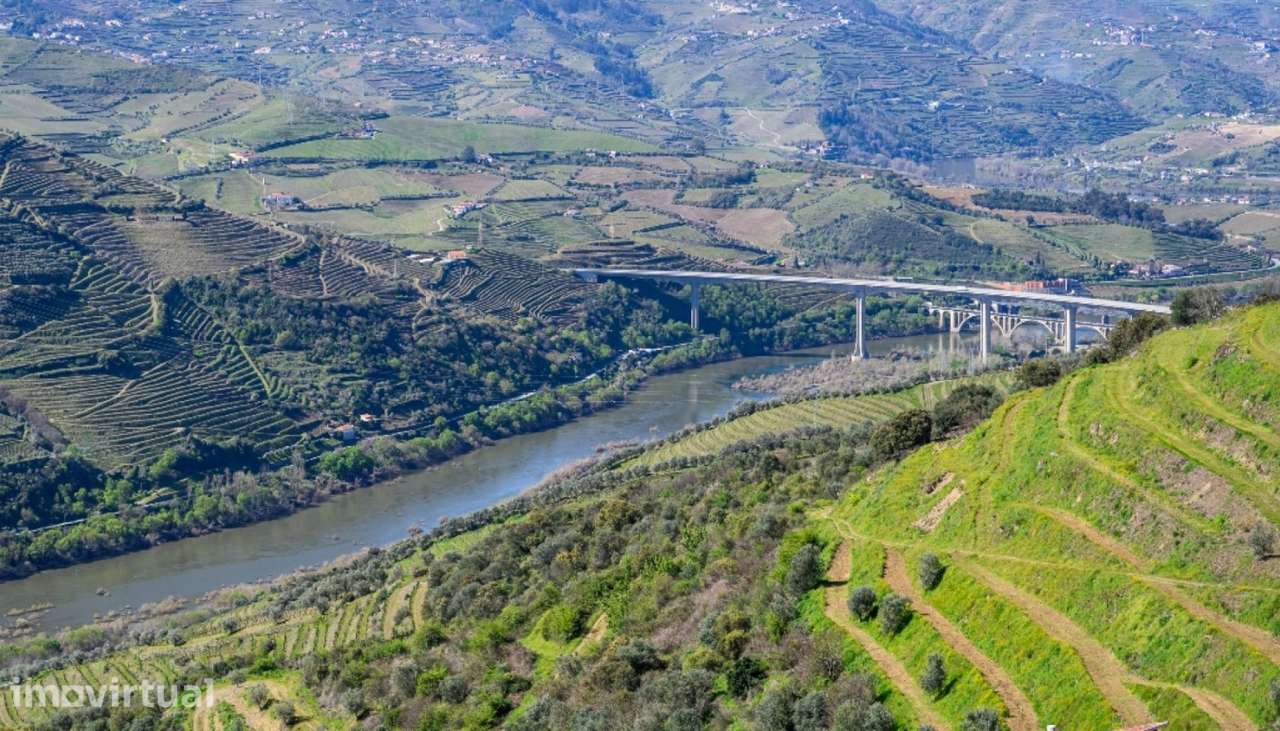 Quinta vínicola à venda no Peso da Régua no Douro Valley - Grande imagem: 2/22