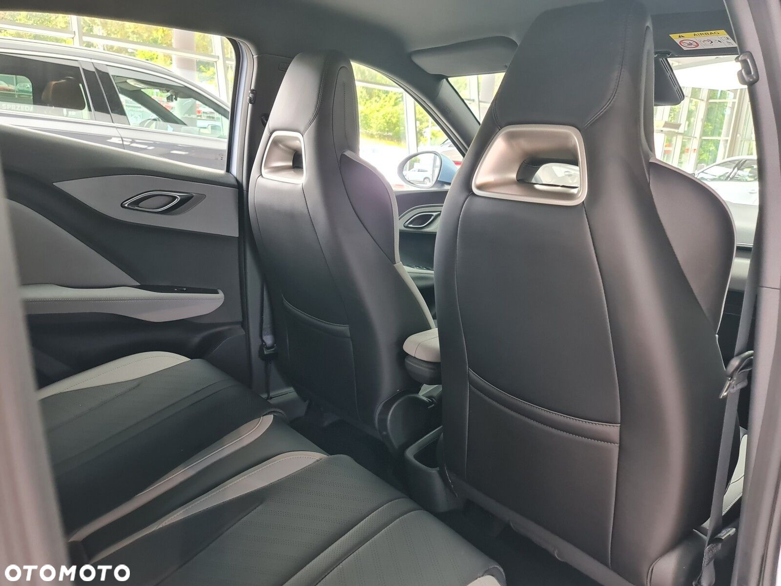 BYD Dolphin Surf - 24