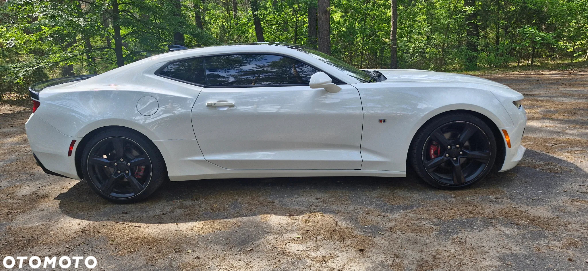 Chevrolet Camaro 3.6 V6 Coupe 2LT - 3