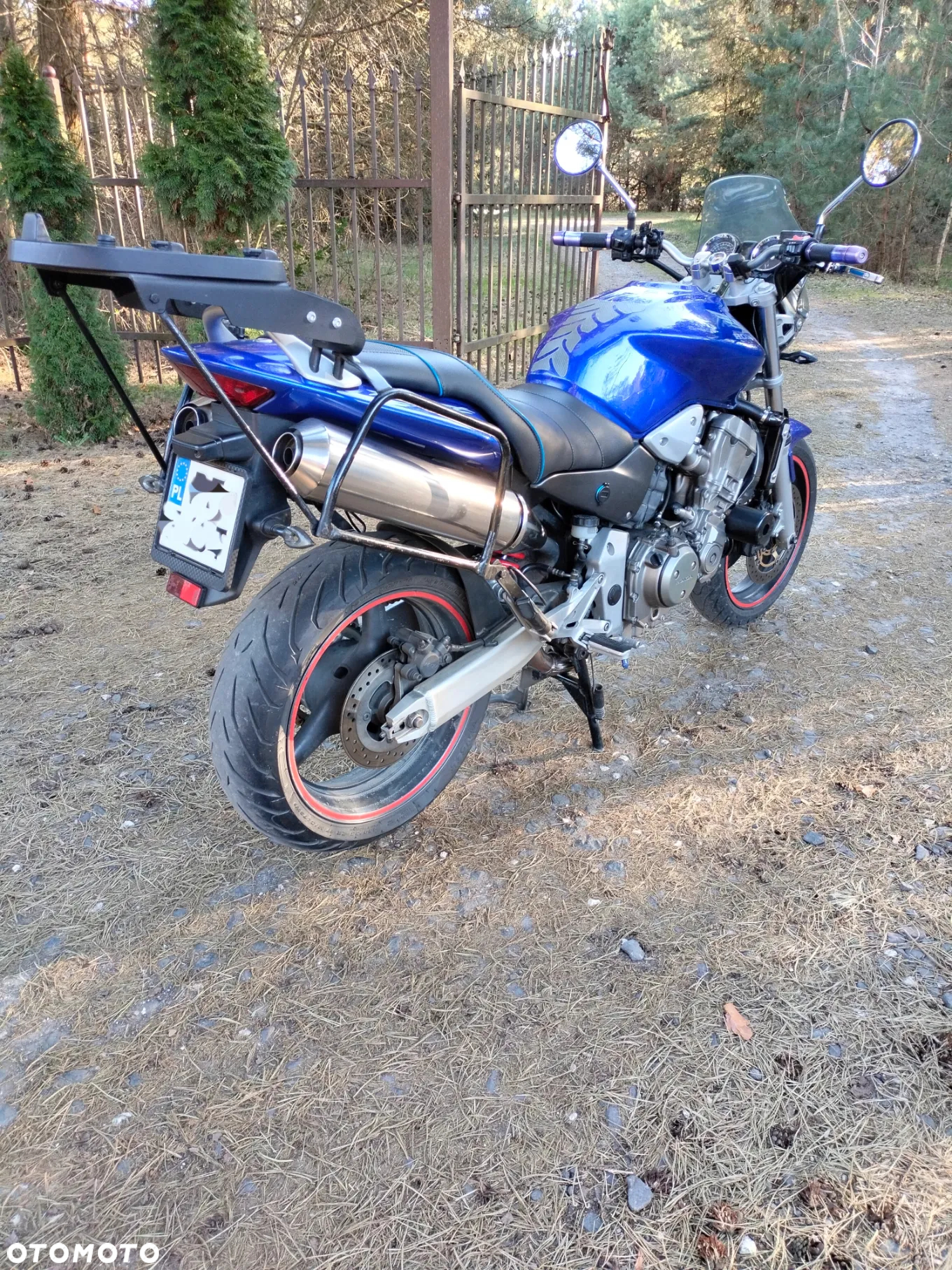 Honda Hornet - 9
