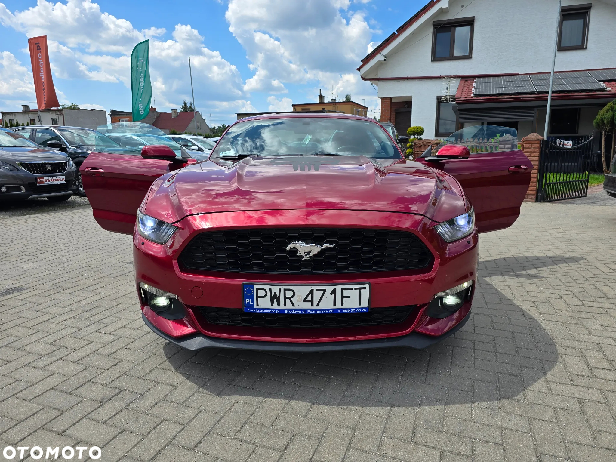 Ford Mustang - 20