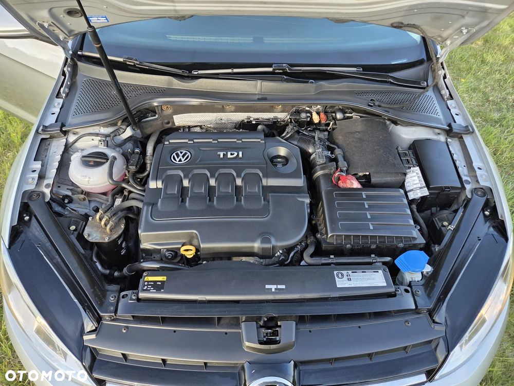 Volkswagen Golf 1.6 TDI BlueMotion Technology Trendline - 10