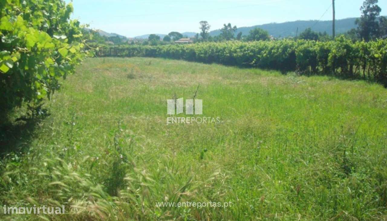 Venda de Terreno, Neves, Viana do Castelo - Grande imagem: 4/29