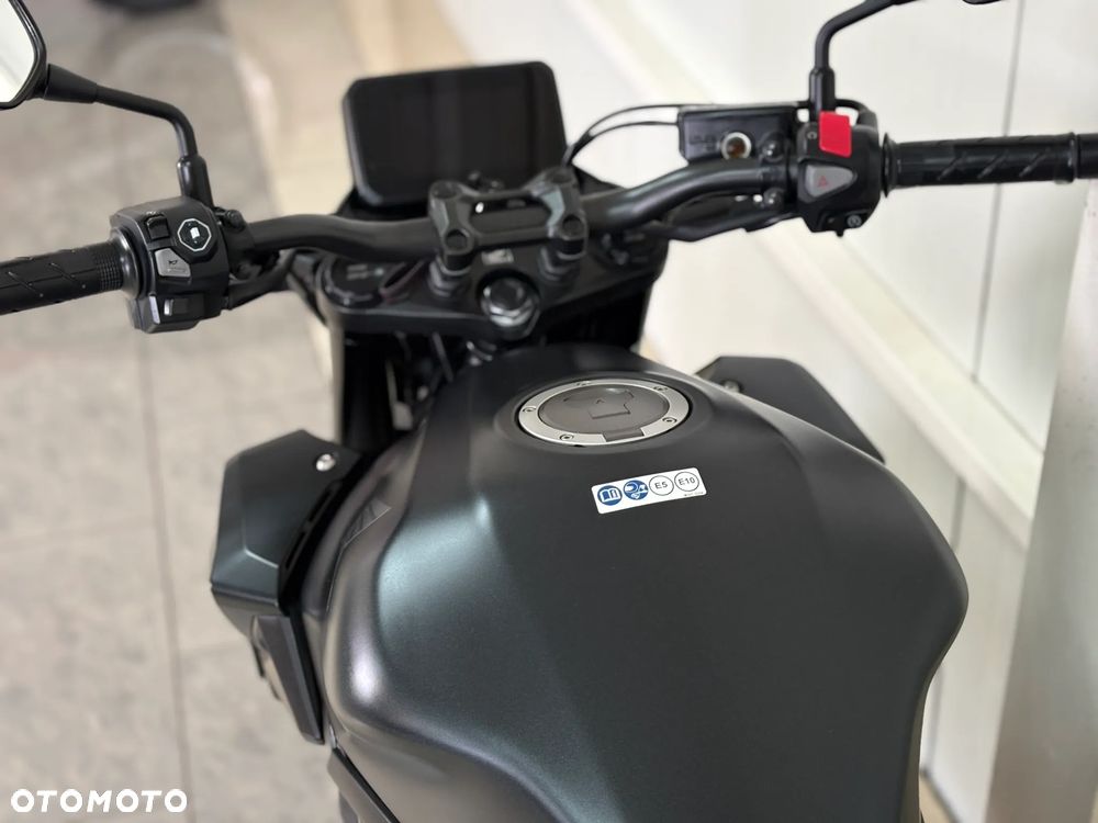Honda Hornet - 10