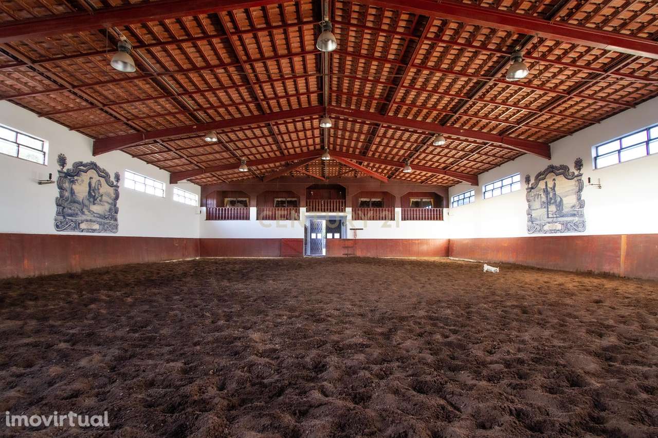 Quinta com um hectare de terreno e Picadeiro coberto em Azeitão - Grande imagem: 4/58
