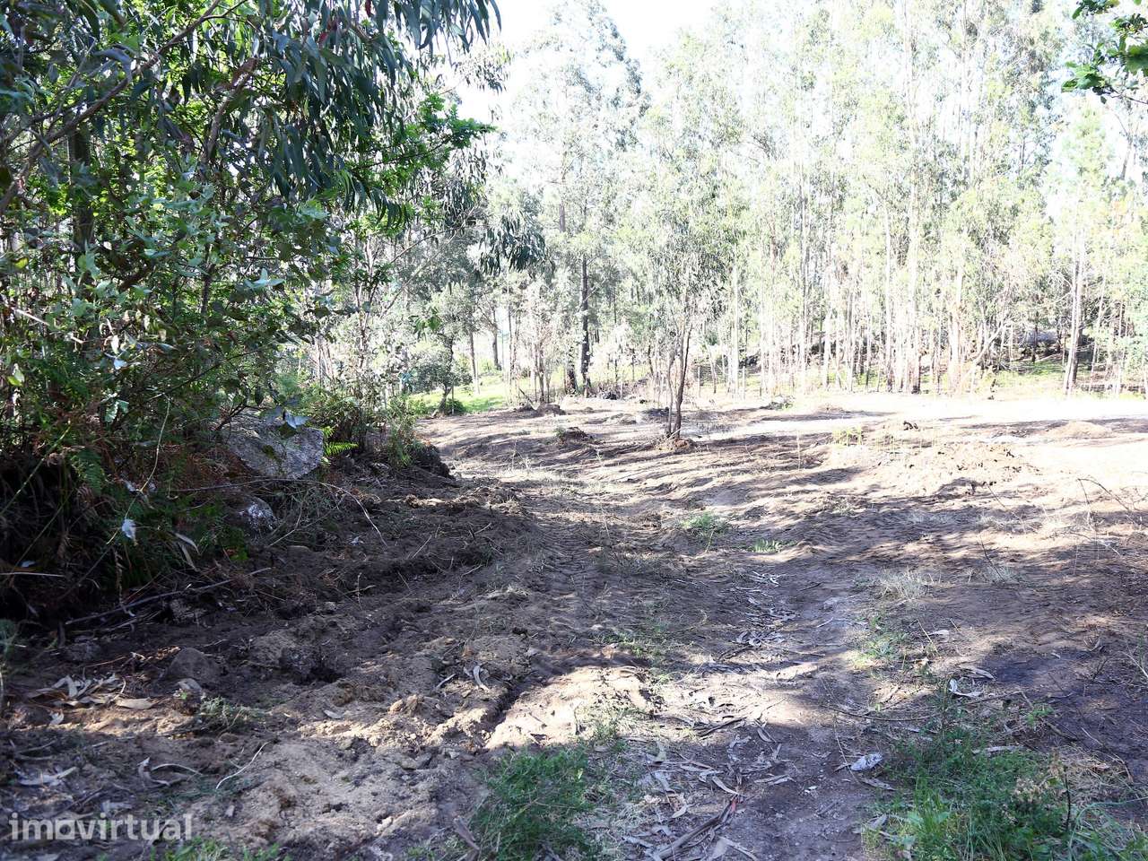 Terreno Para Construção  Venda em Lustosa e Barrosas (Santo Estêvão),L - Grande imagem: 5/5