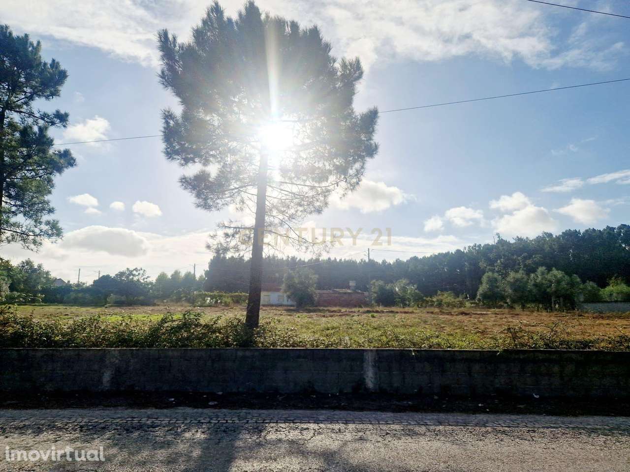Fantástico lote em localização privilegiada || Ilha, Pombal - Grande imagem: 3/33