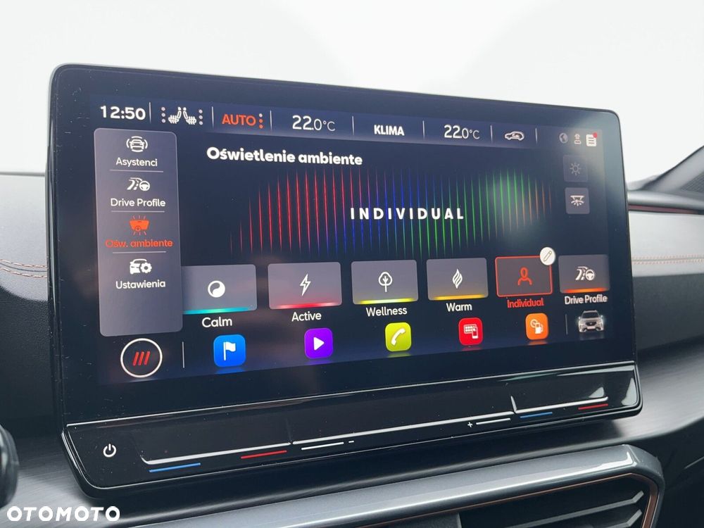 Cupra Formentor 2.0 TDI 4Drive DSG - 13