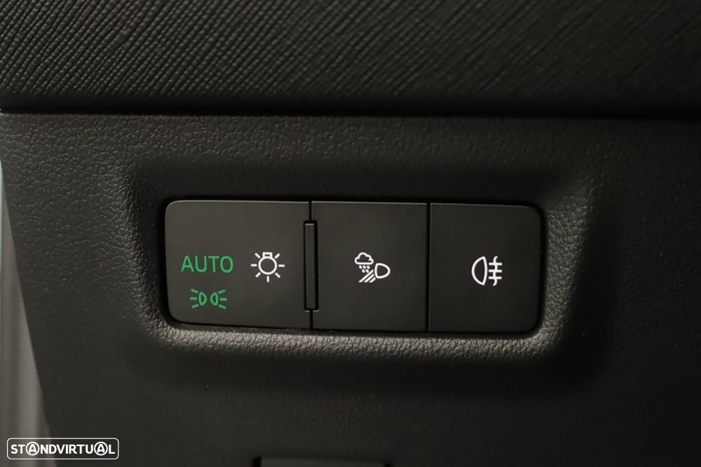 Skoda Kodiaq 2.0 TDI DSG - 17