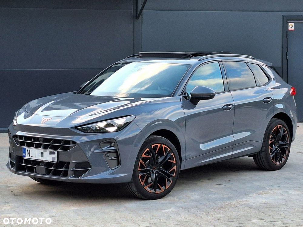 Cupra Terramar - 4