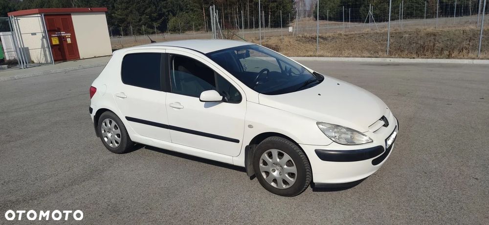 Peugeot 307 - 10