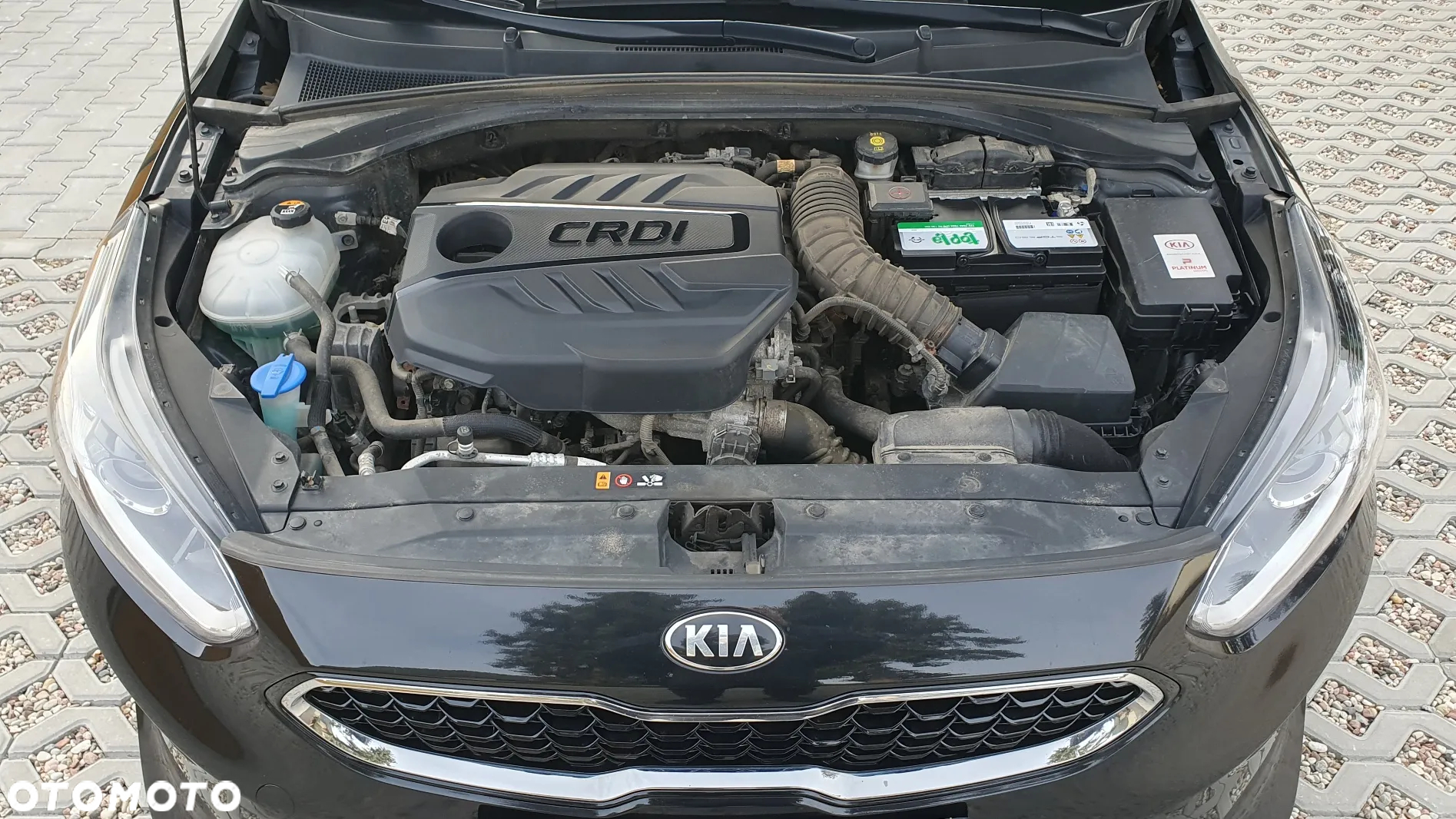 Kia Ceed 1.6 CRDi SCR M - 25