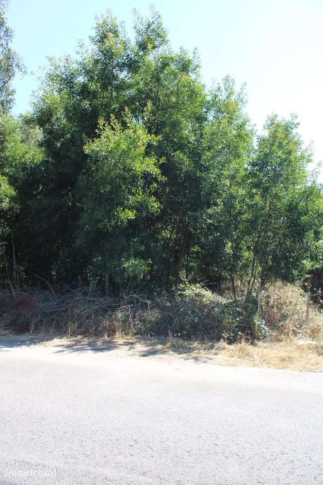 Terreno Urbanizável na Rua Areia do Gonde, Avanca – A Medida Certa par - Grande imagem: 4/5