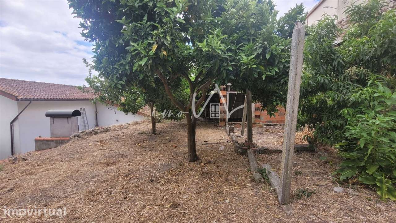 Terreno no centro de Montemor-O-Velho - Grande imagem: 2/6