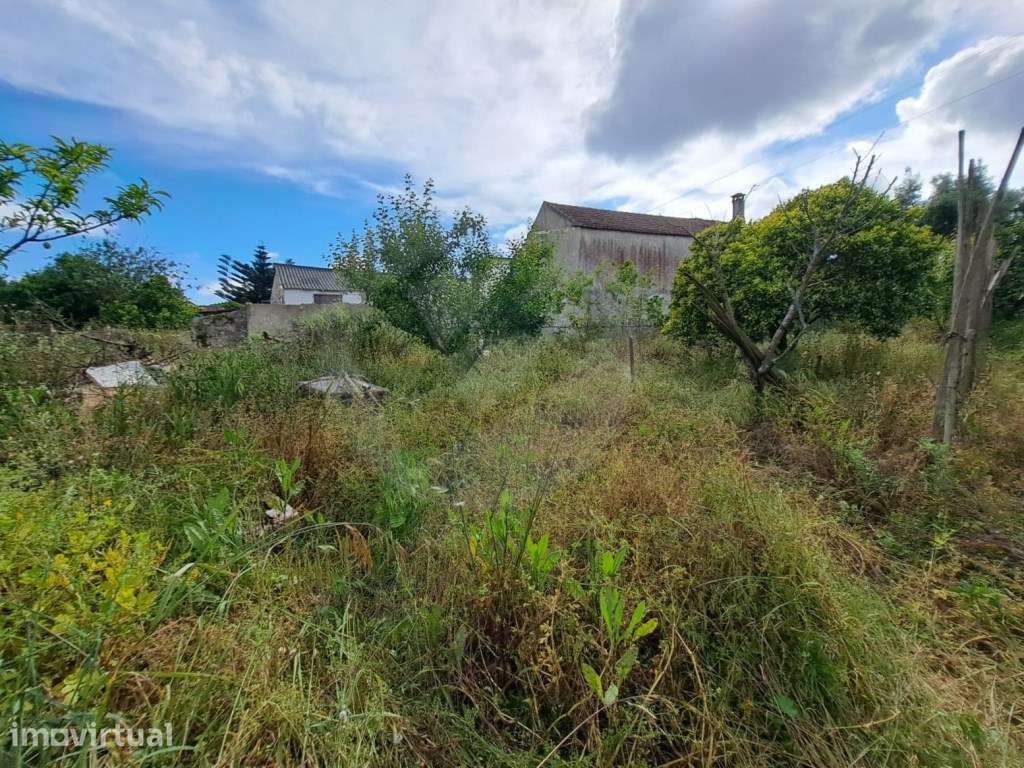 Terreno com 925 m2 na Junqueira em Vila do Conde - Grande imagem: 3/25