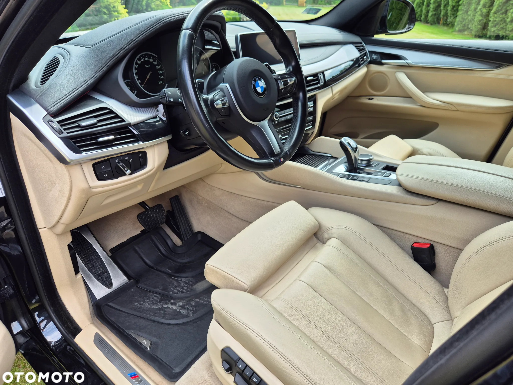 BMW X6 xDrive40d M Sport - 19