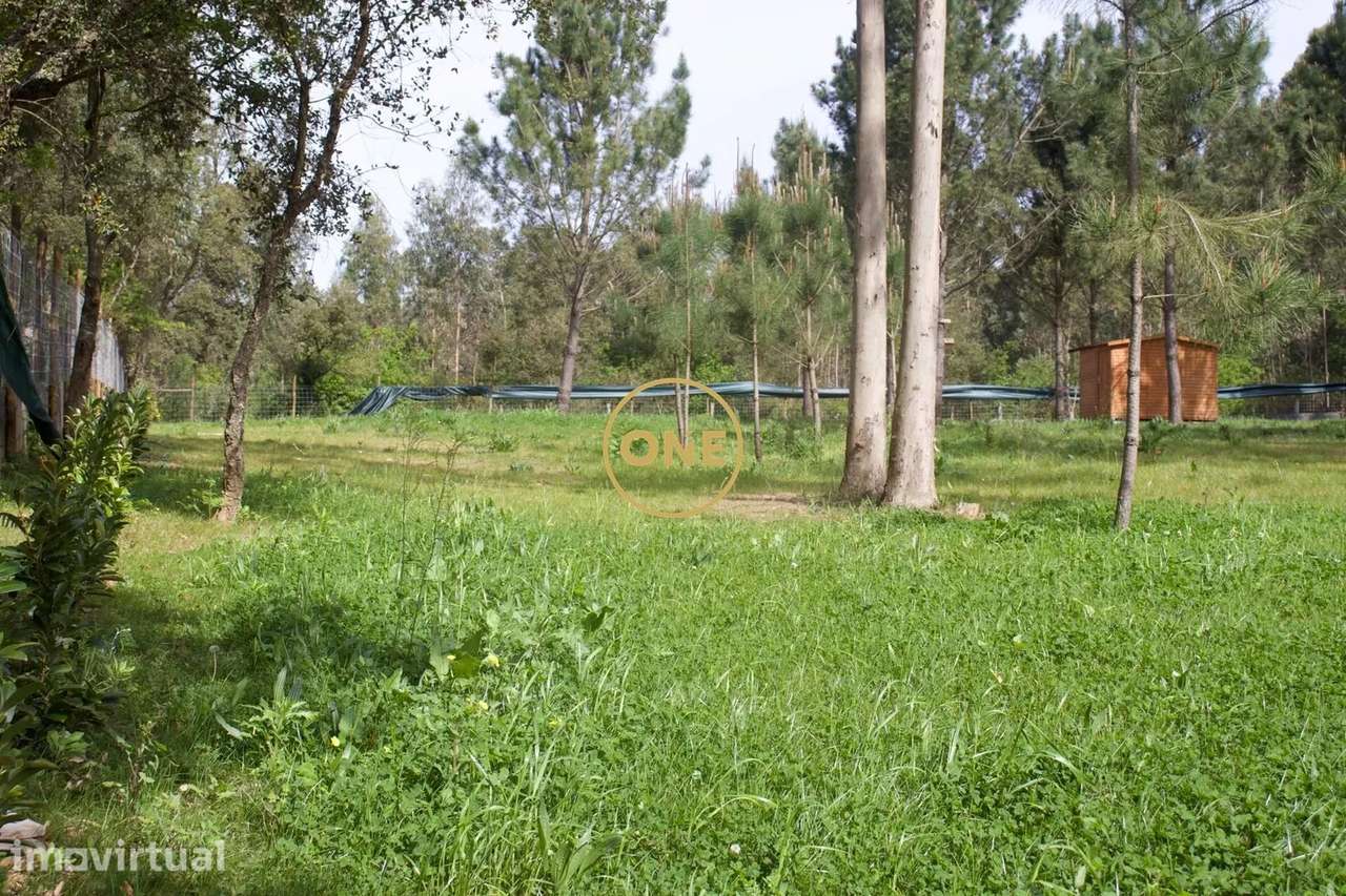 Terreno São Félix da Marinha – 4.100 m² - Grande imagem: 3/9
