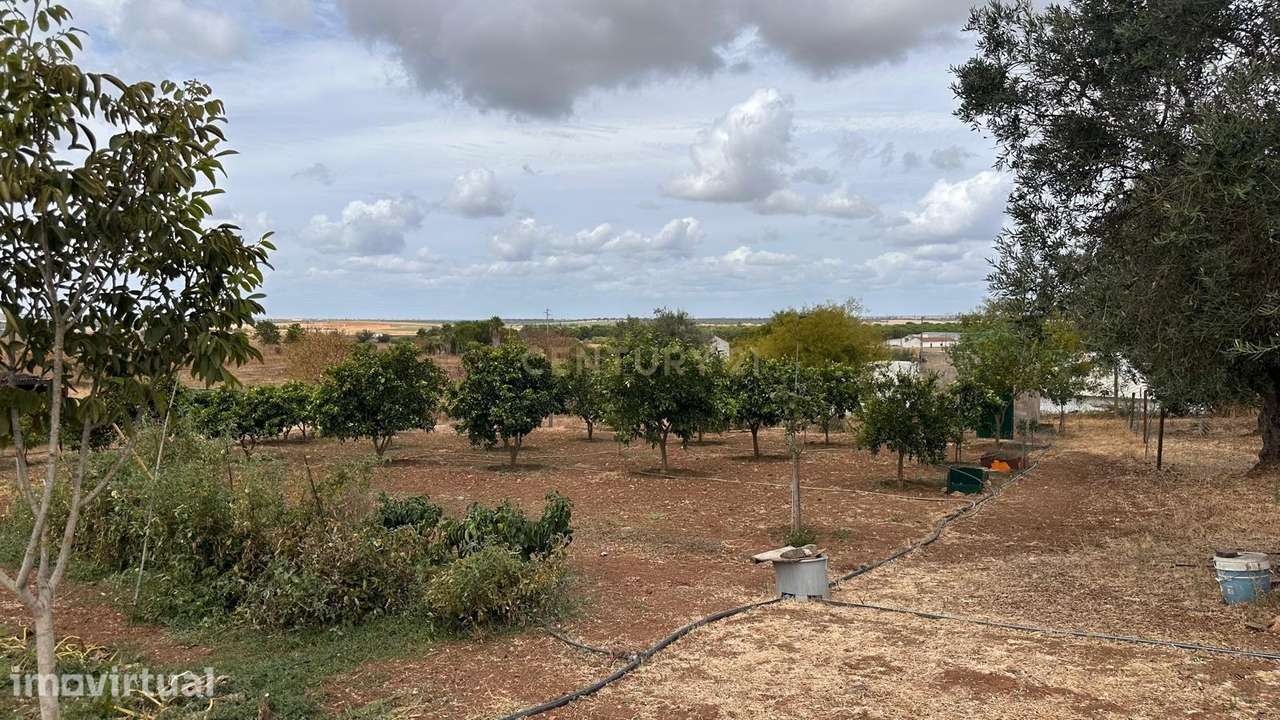 Quinta em Trigaches — 1 hectare em comunhão com a natureza - Grande imagem: 4/27