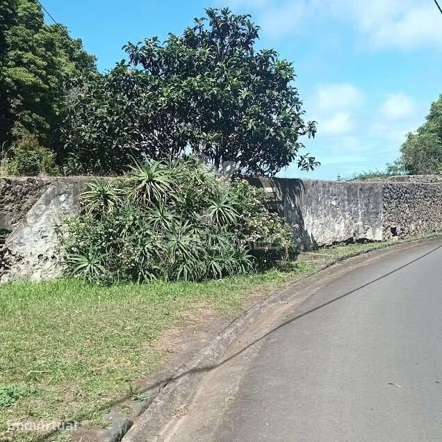 terreno/Pomar - Grande imagem: 2/3
