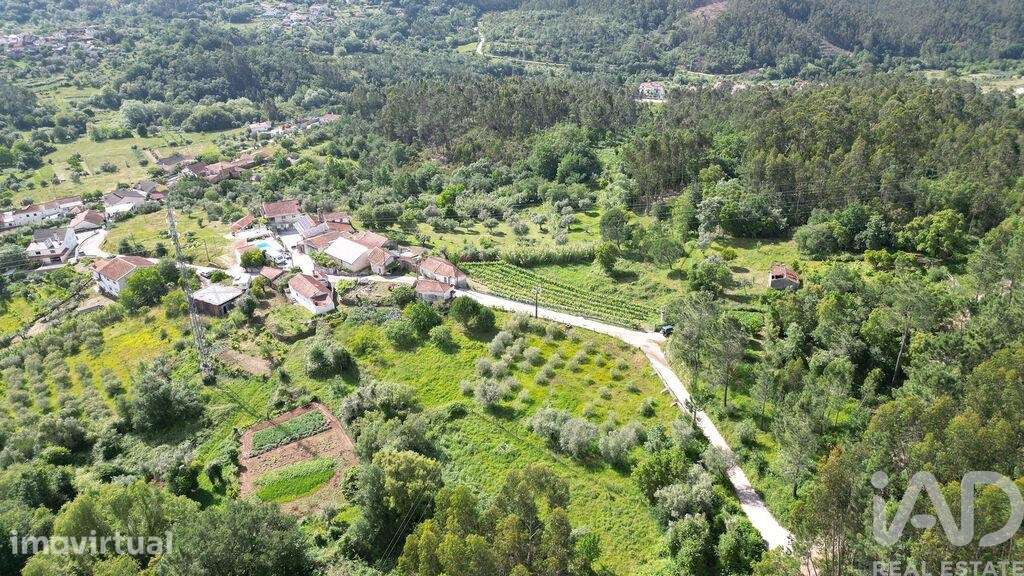 Terreno para construção em São Miguel, Santa Eufémia e Rabaçal - Grande imagem: 3/16