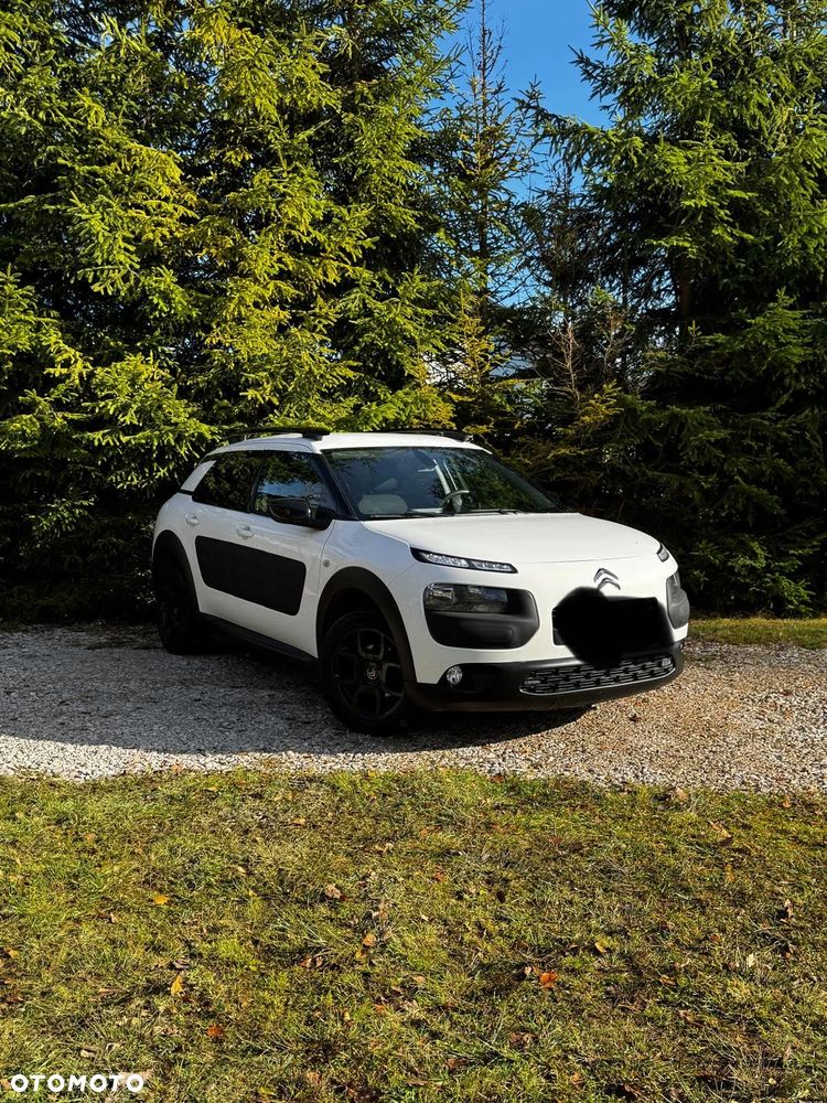 Citroën C4 Cactus - 14