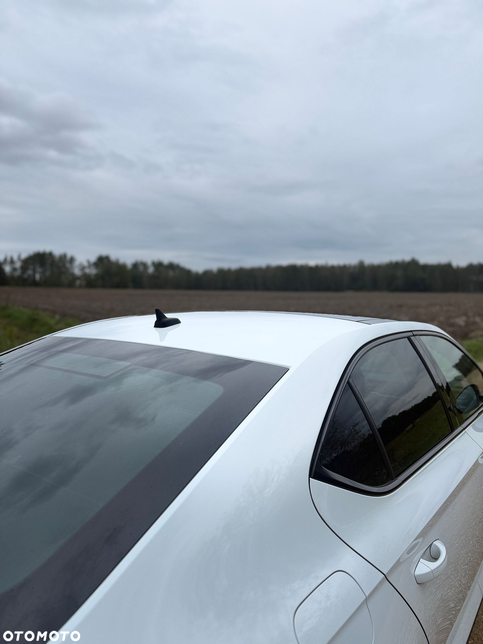 Skoda Superb 2.0 TDI 4x4 DSG SportLine - 12