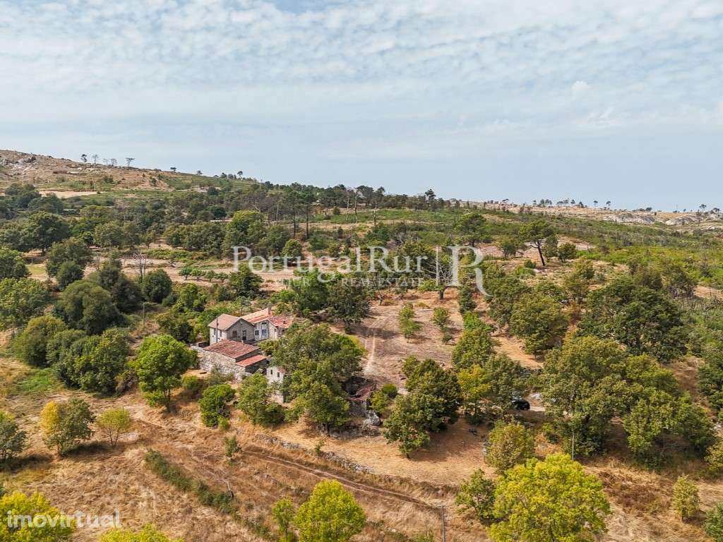 Quinta de 24ha com potencial para Turismo - Grande imagem: 3/57