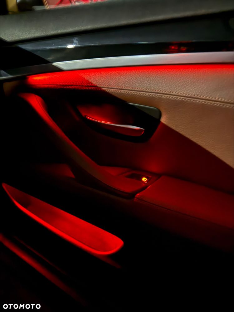 BMW Seria 5 520d - 20