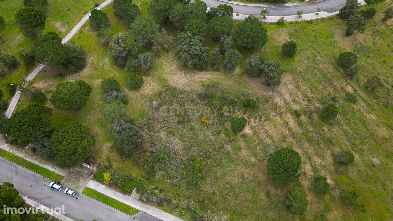 Lote Exclusivo com 2.150 m2 para moradia | Vila Nova de Santo Estevão - Grande imagem: 5/8