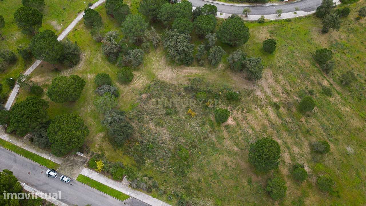 Lote Exclusivo com 2.150 m2 para moradia | Vila Nova de Santo Estevão - Grande imagem: 5/8