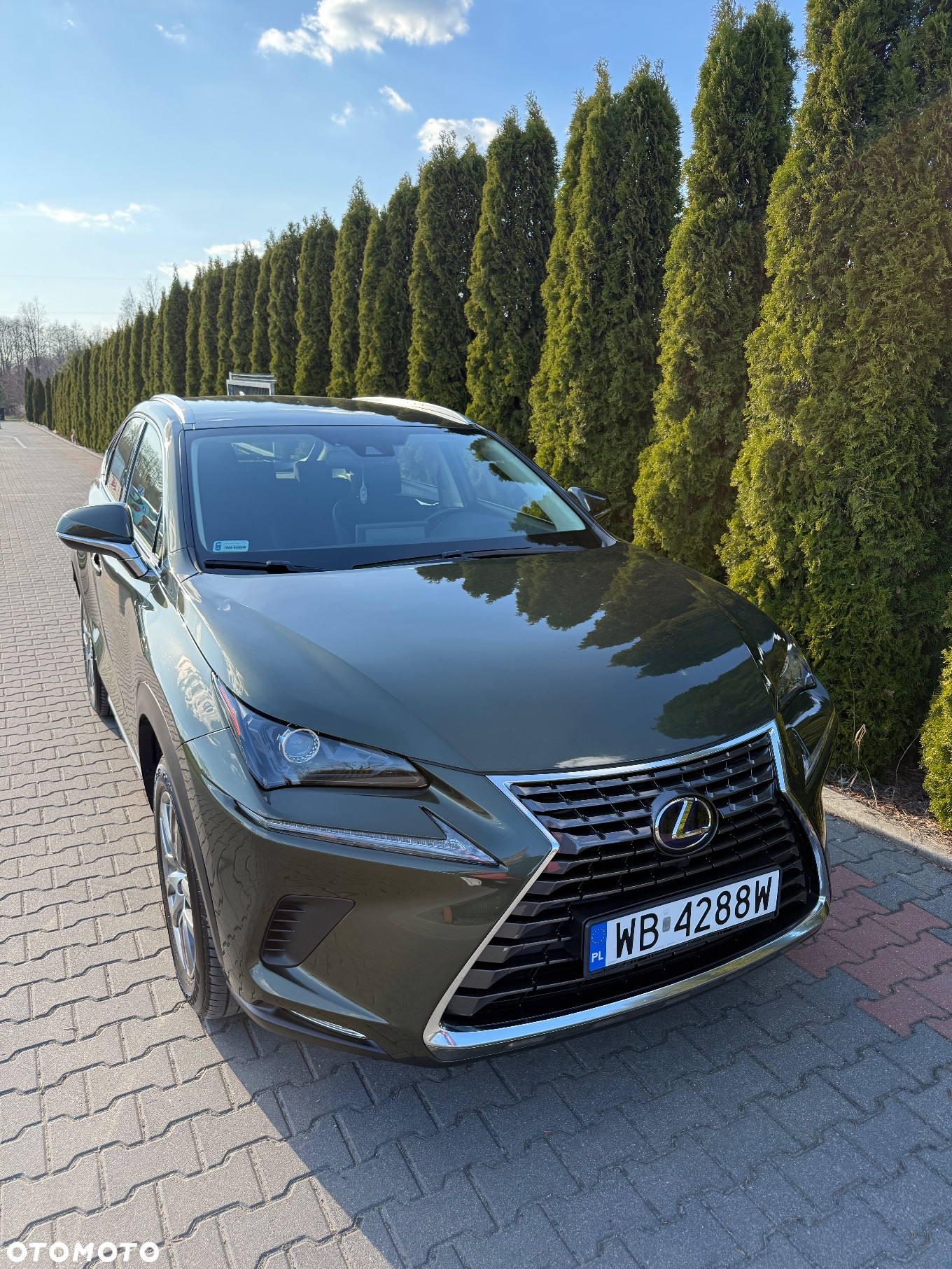 Lexus NX - 3