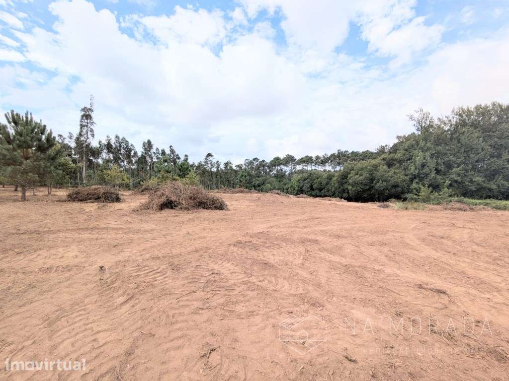 Terreno misto com 11.500m2 em Pigeiros, junto ao nó da A32 - Grande imagem: 4/21
