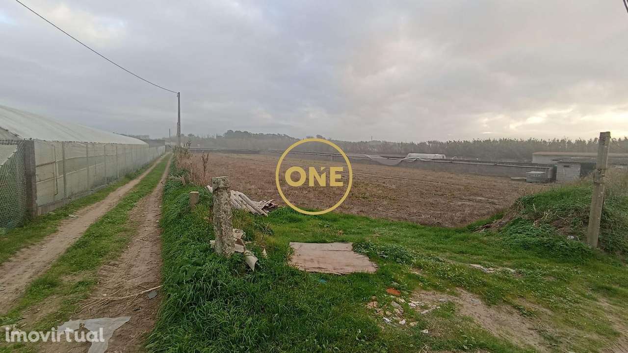 Terreno rústico de Apúlia, Esposende - Grande imagem: 5/10