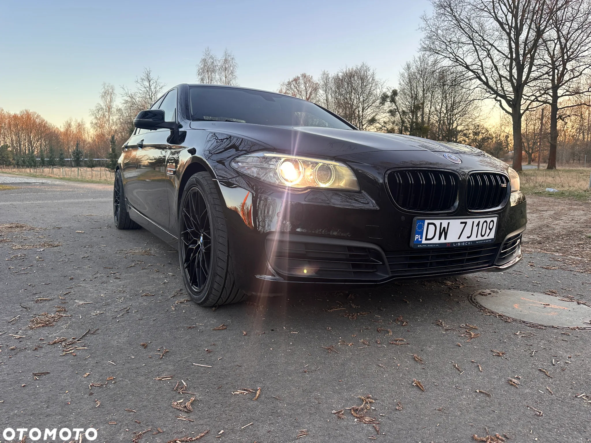 BMW Seria 5 518d Luxury Line - 9