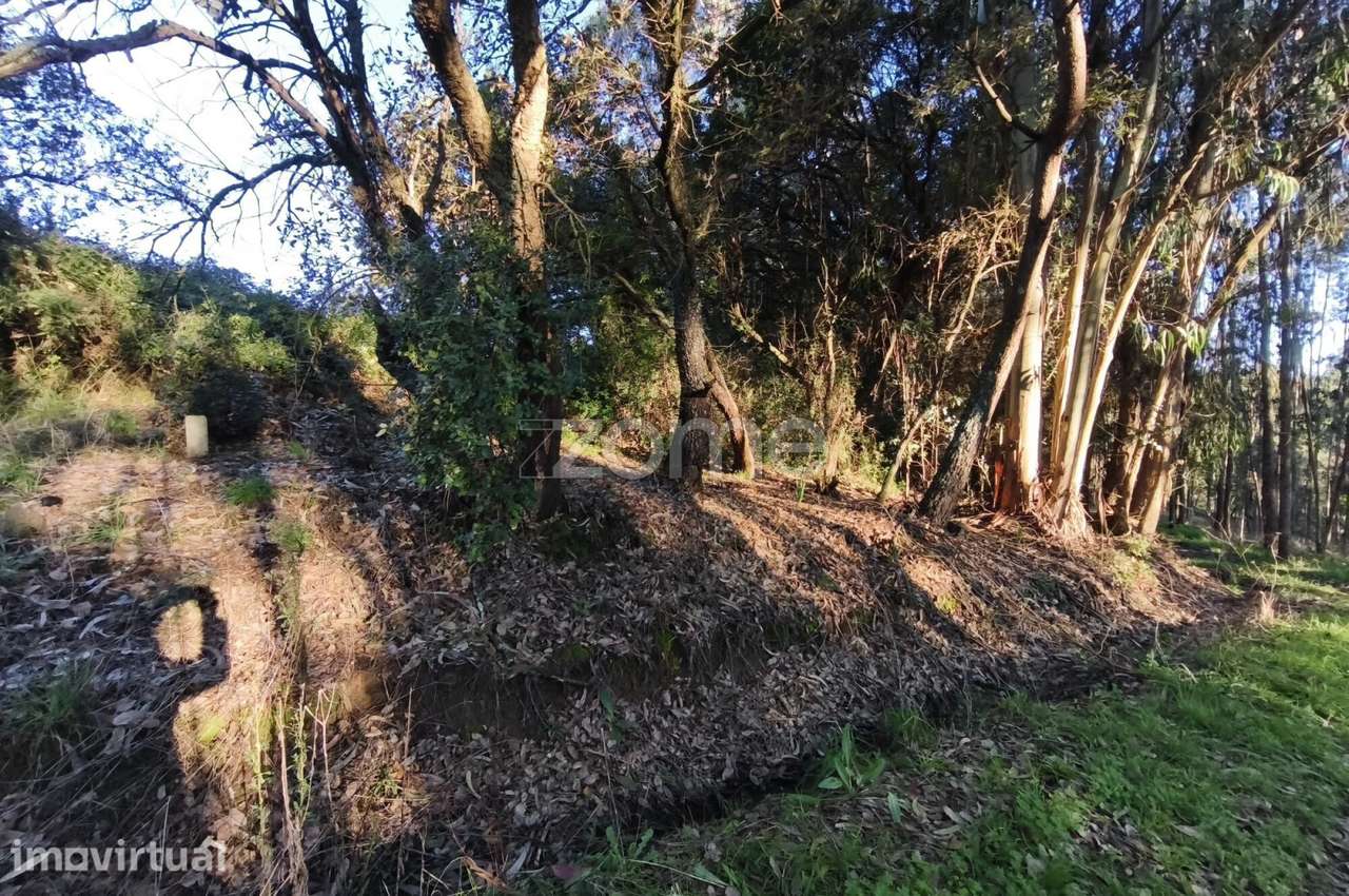Terreno Urbanizável - Grande imagem: 4/24