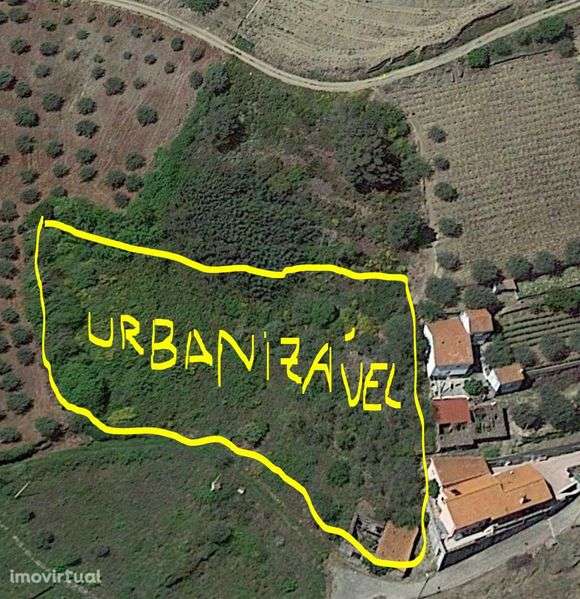 Quintinha no Douro com imóvel para recuperar - Grande imagem: 3/5