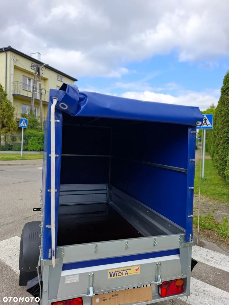 Wiola KRAKUS IDEALNA - 8