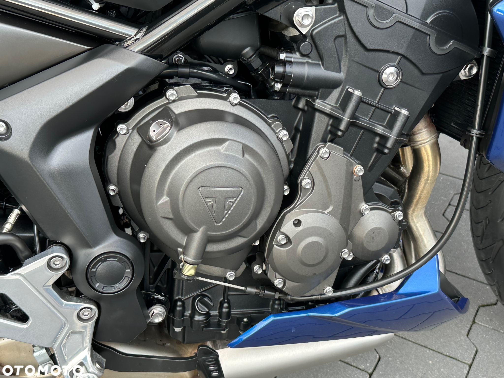 Triumph Tiger - 14