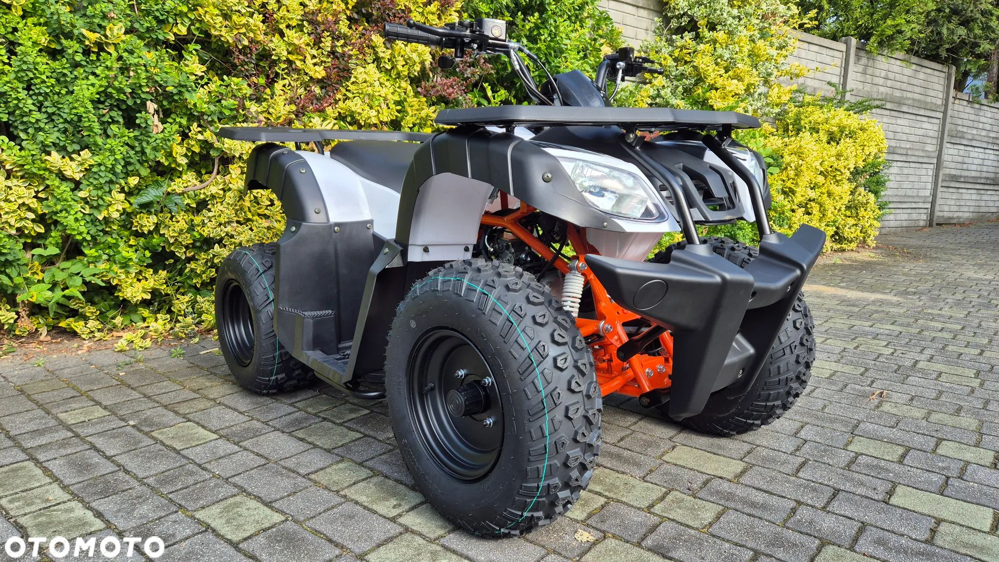 KAYO AU - 1