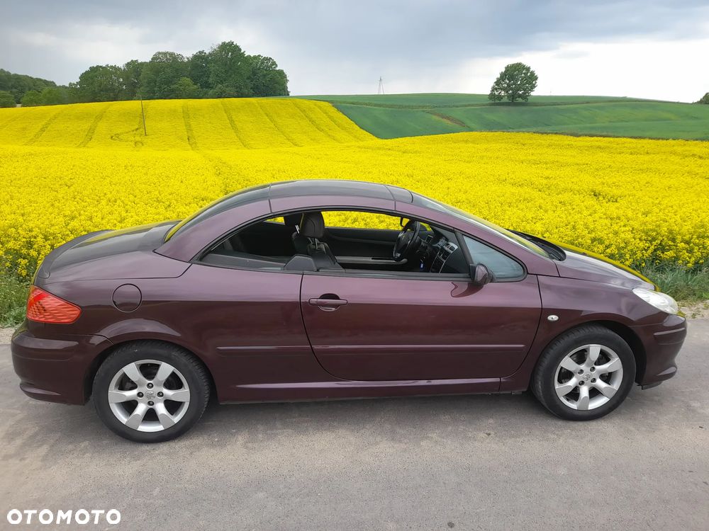 Peugeot 307 CC - 11
