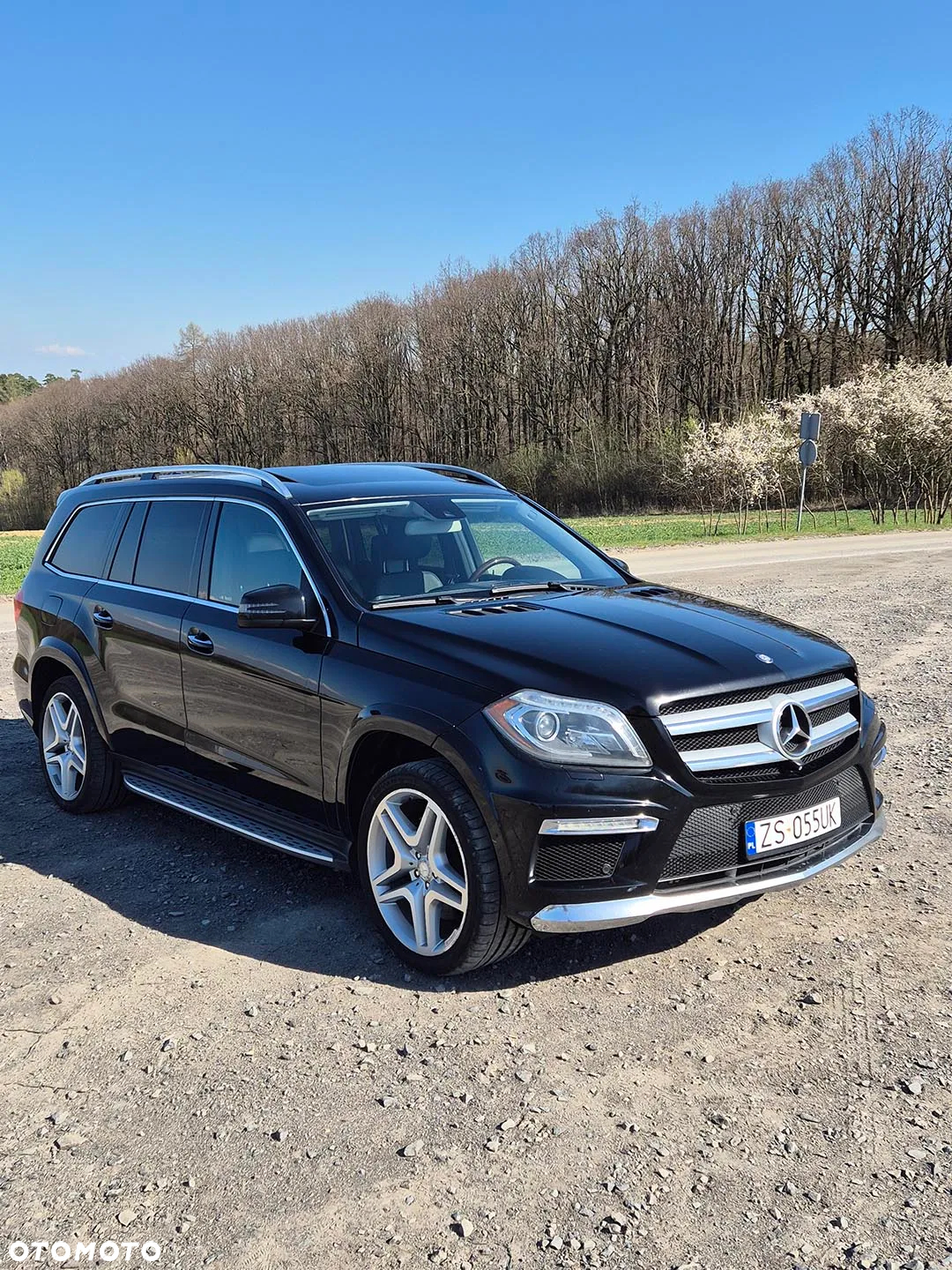 Mercedes-Benz GL 500 4Matic (BlueEFFICIENCY) 7G-TRONIC - 7