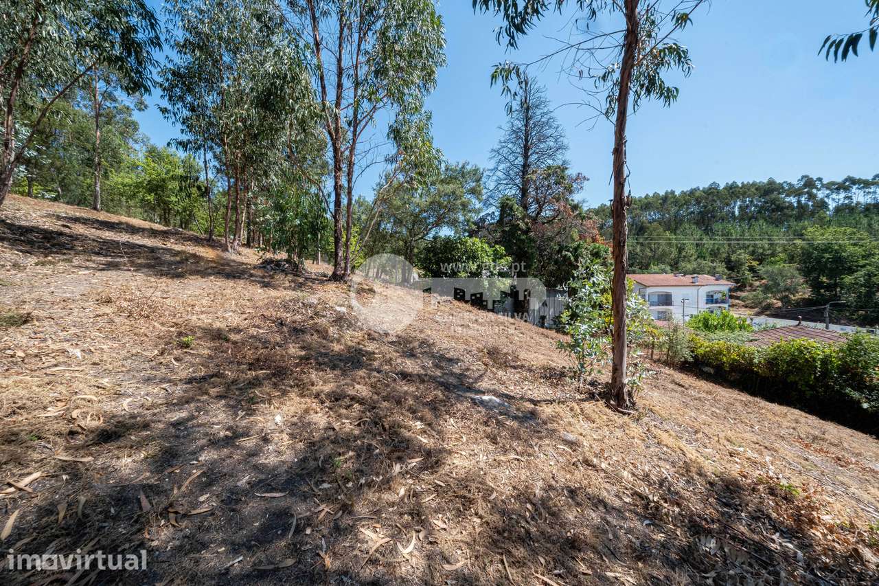 TERRENO URBANO COM 6.000 M² | TRANDREIRAS| POTENCIAL DE LOTEAMENTO - Grande imagem: 4/15