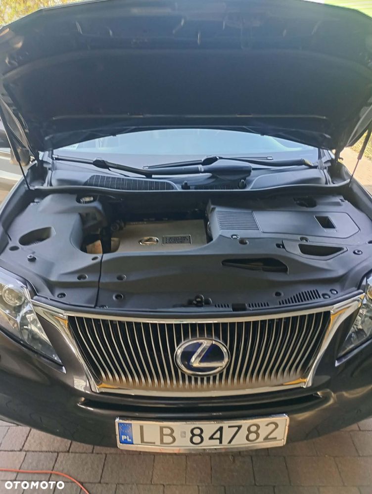 Lexus RX Standard - 7