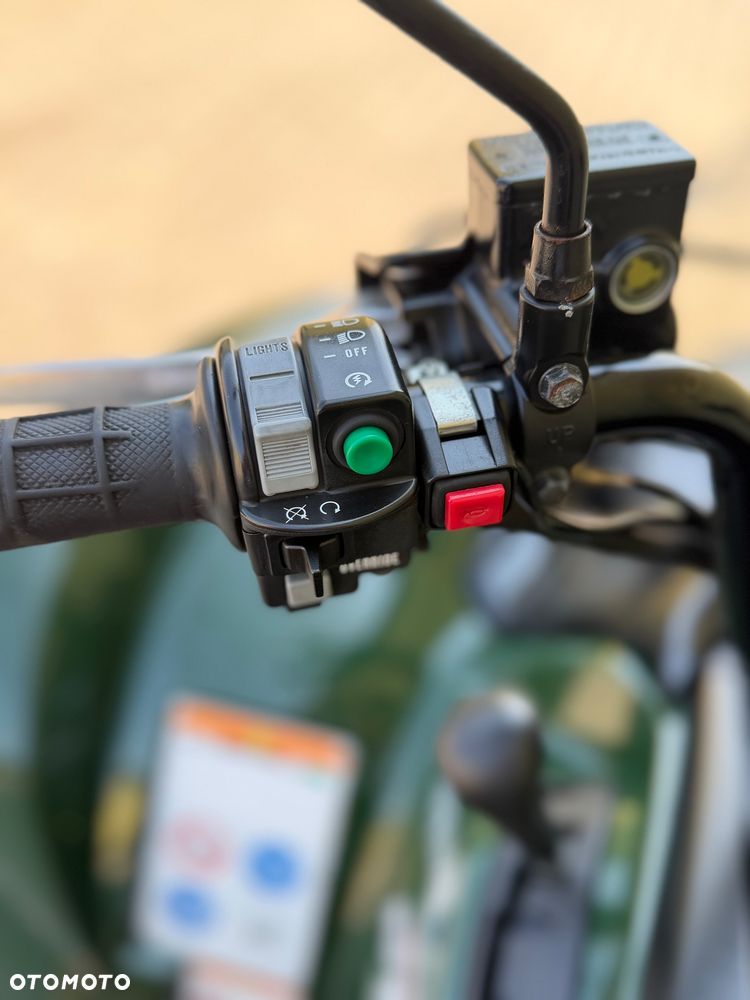 Yamaha Grizzly - 37
