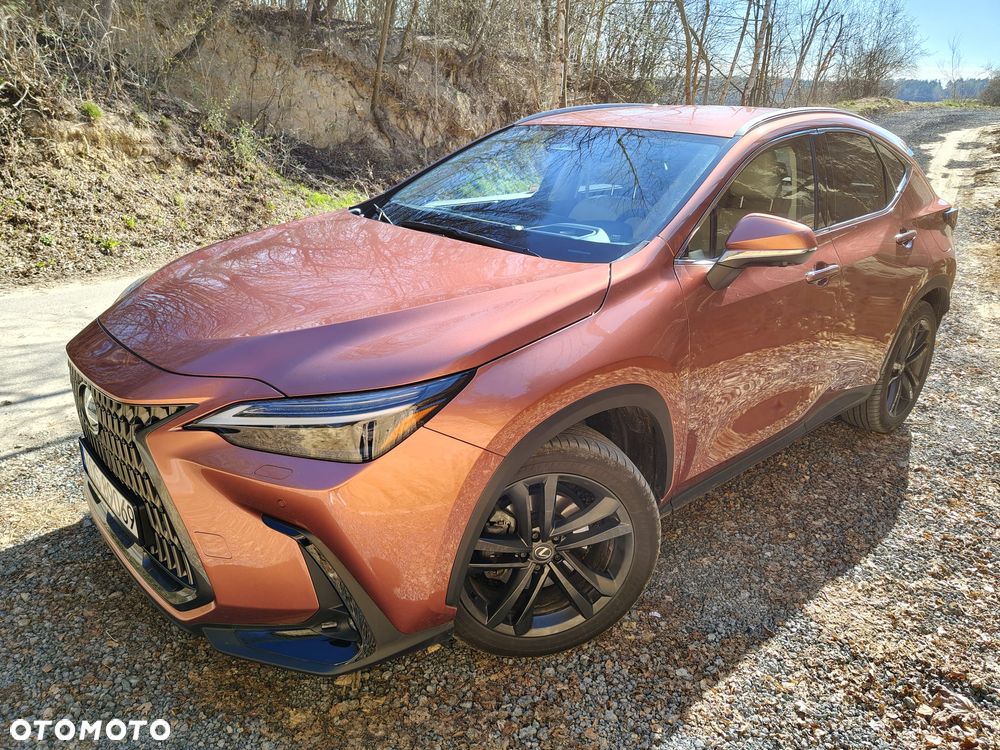 Lexus NX - 6