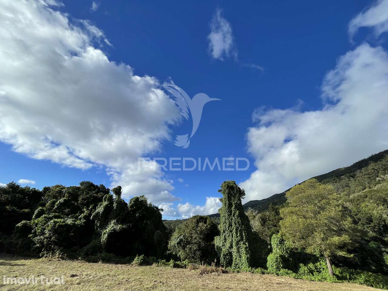 Terreno para Construção - Grande imagem: 4/17