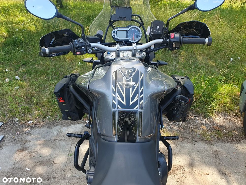 Triumph Tiger - 6