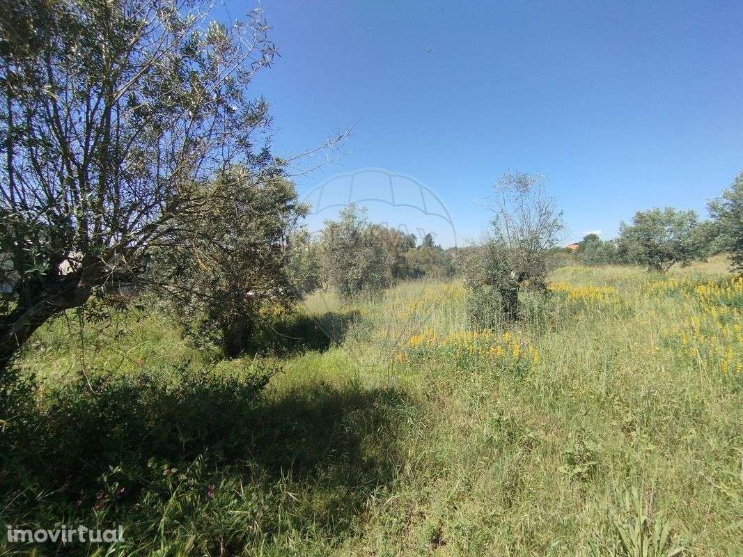 Terreno  para venda - Grande imagem: 3/3