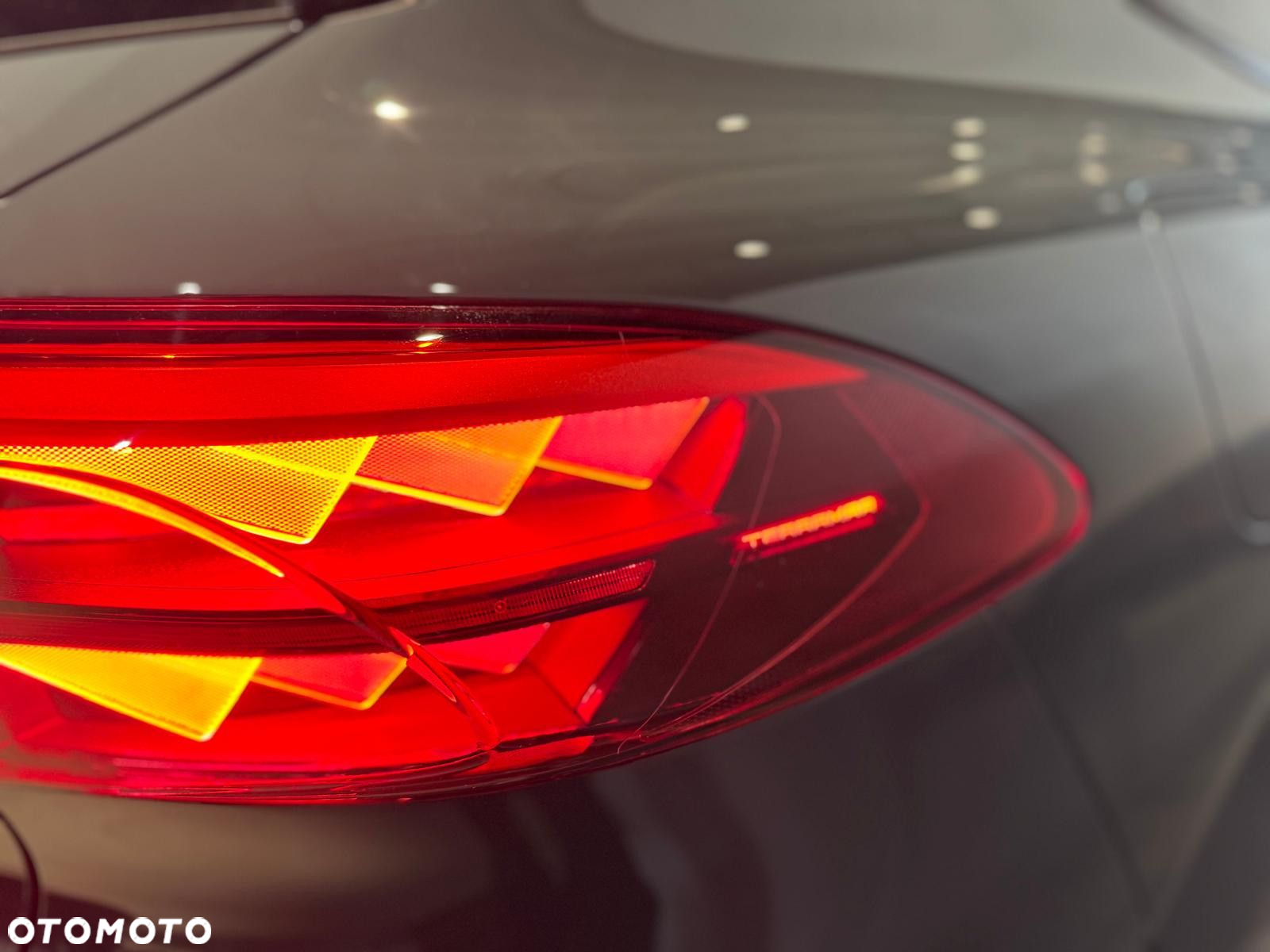 Cupra Terramar - 10