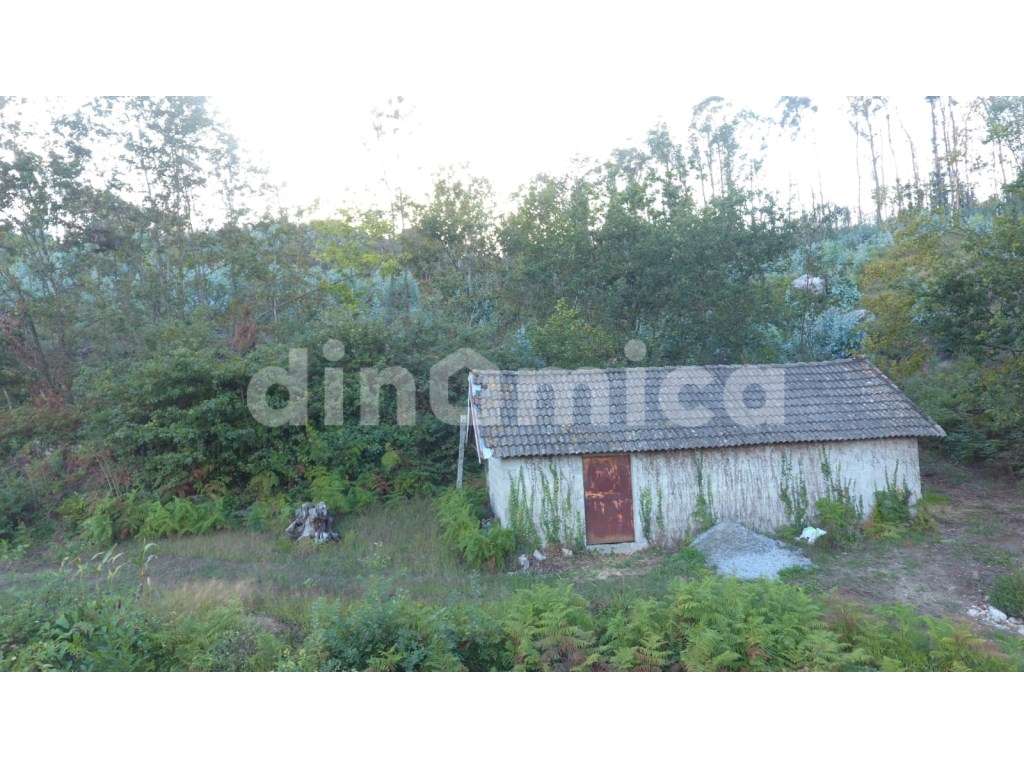 Terreno Venda Vila Nova de Famalicão - Grande imagem: 3/3